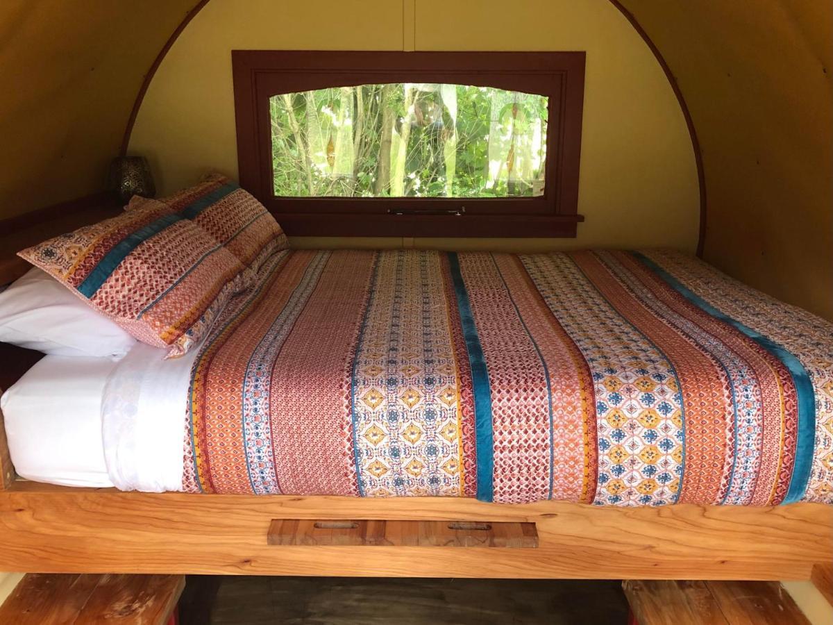 Greytown Campground Kültér fotó